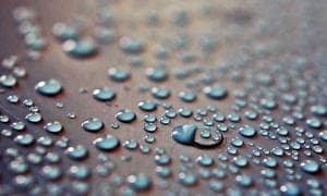 سلول‌های بنیادی امید تازه